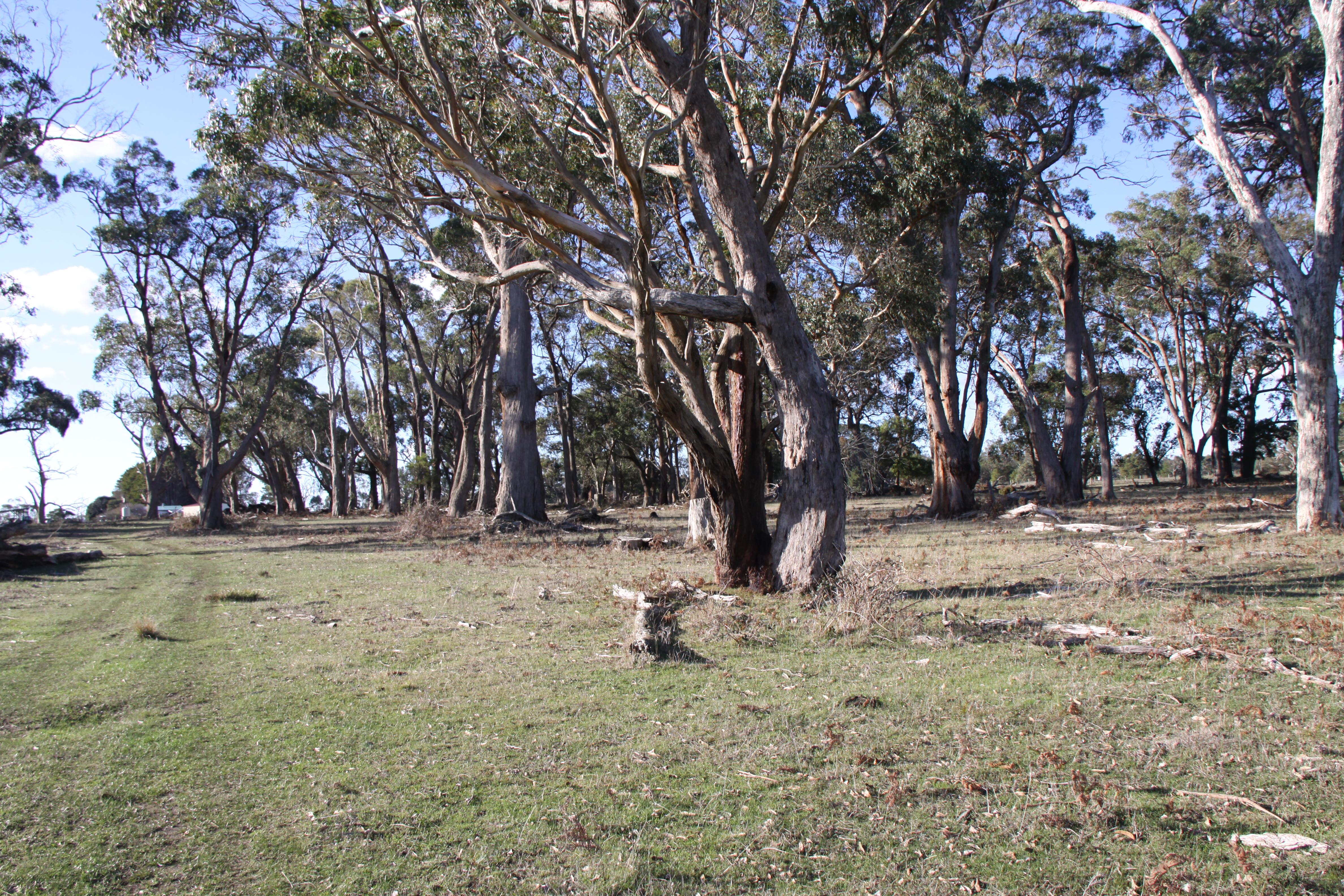 Greenwald Farm - approx. 48.6ha - Image# 11