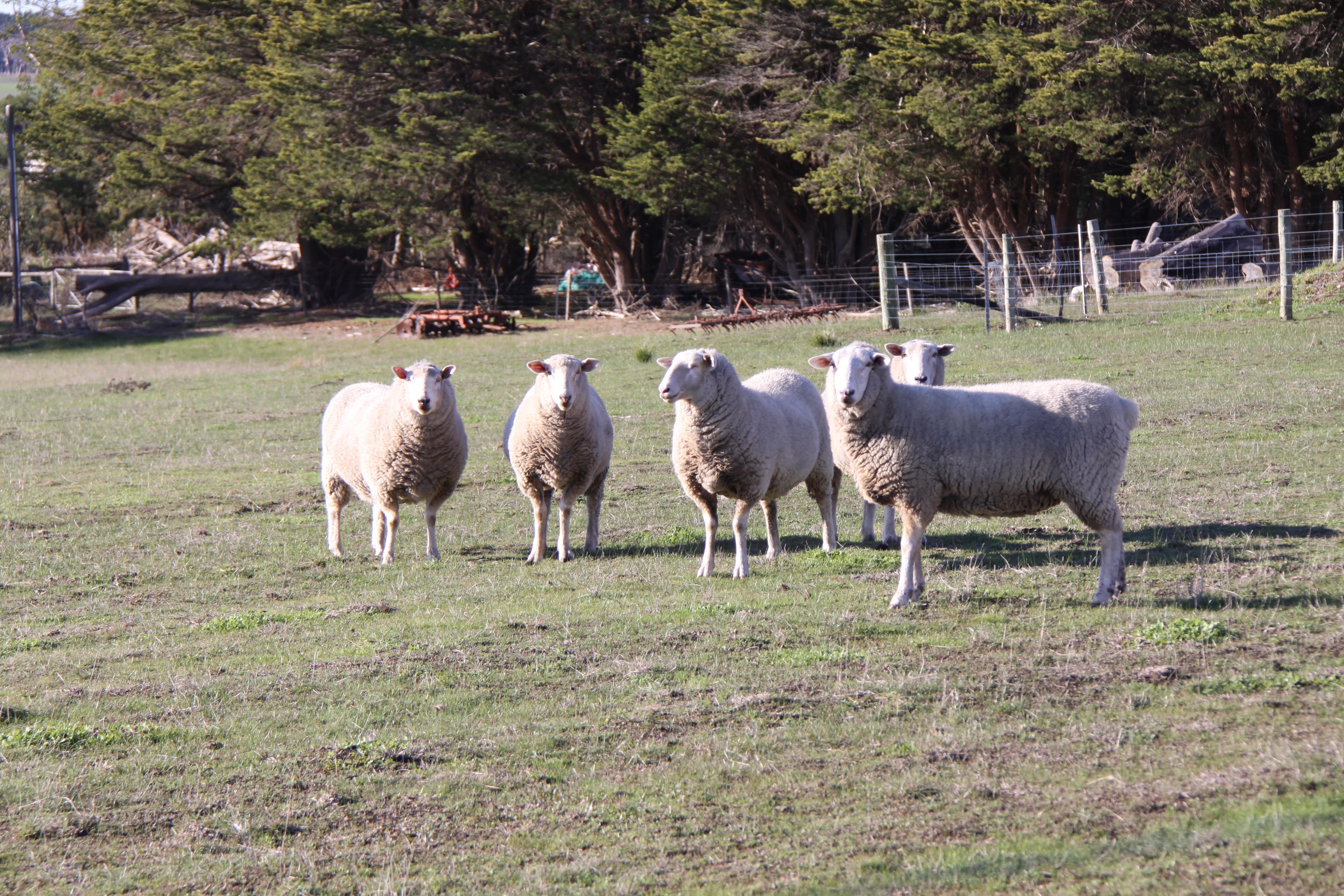 Greenwald Farm - approx. 48.6ha - Image# 10