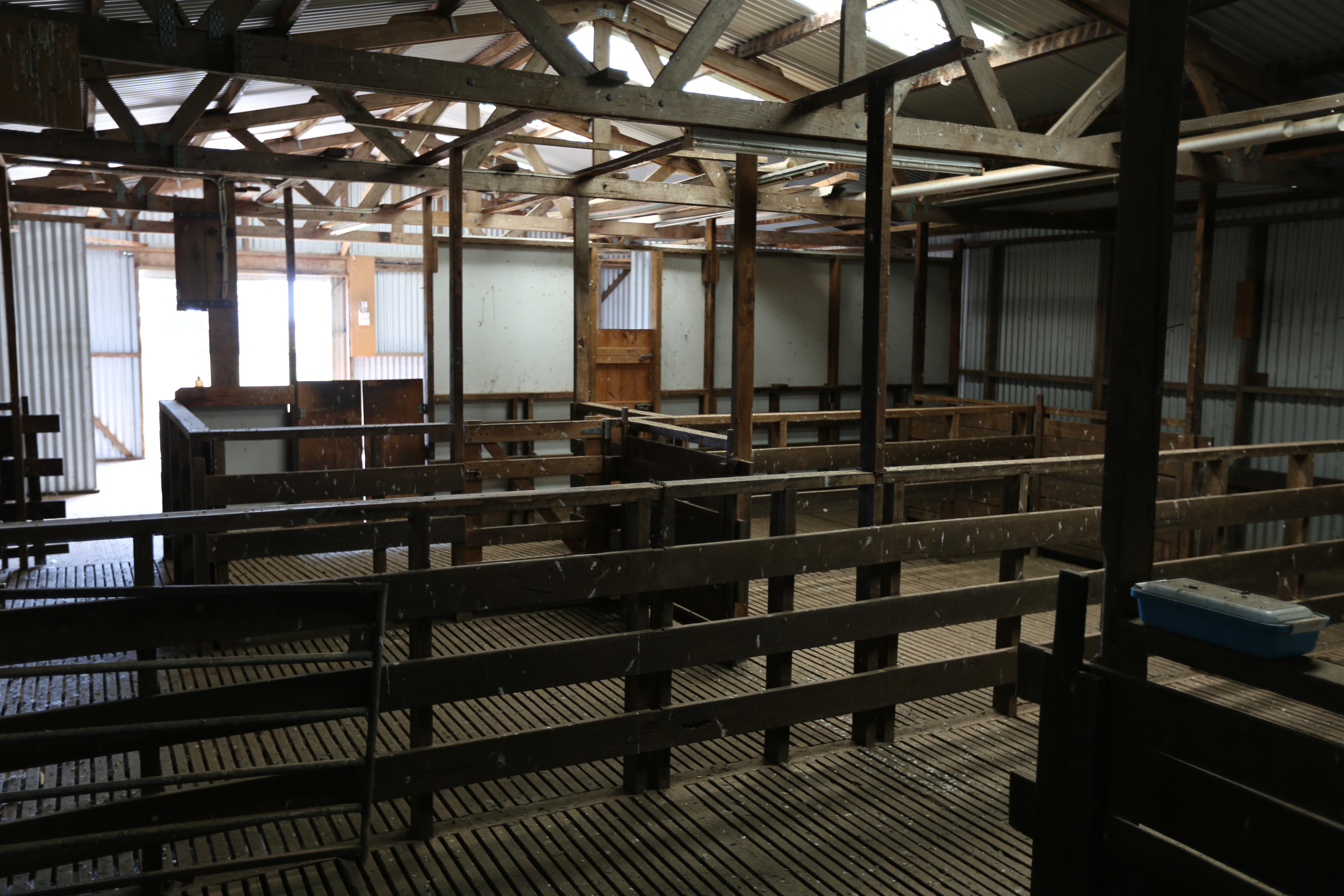 High Rainfall - Grazing - approx. 72.02ha - Image# 7