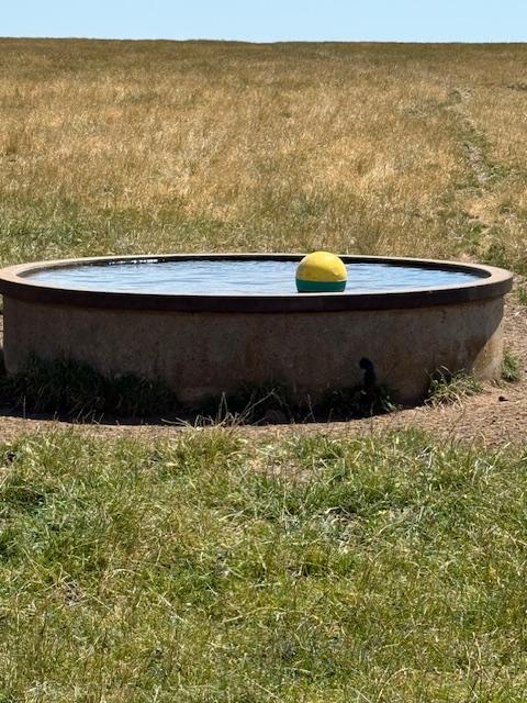 High Rainfall - Grazing - approx. 72.02ha - Image# 3