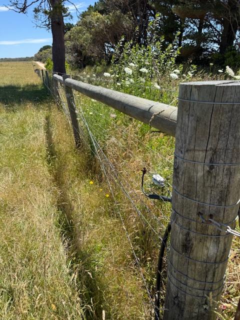 High Rainfall - Grazing - approx. 72.02ha - Image# 10