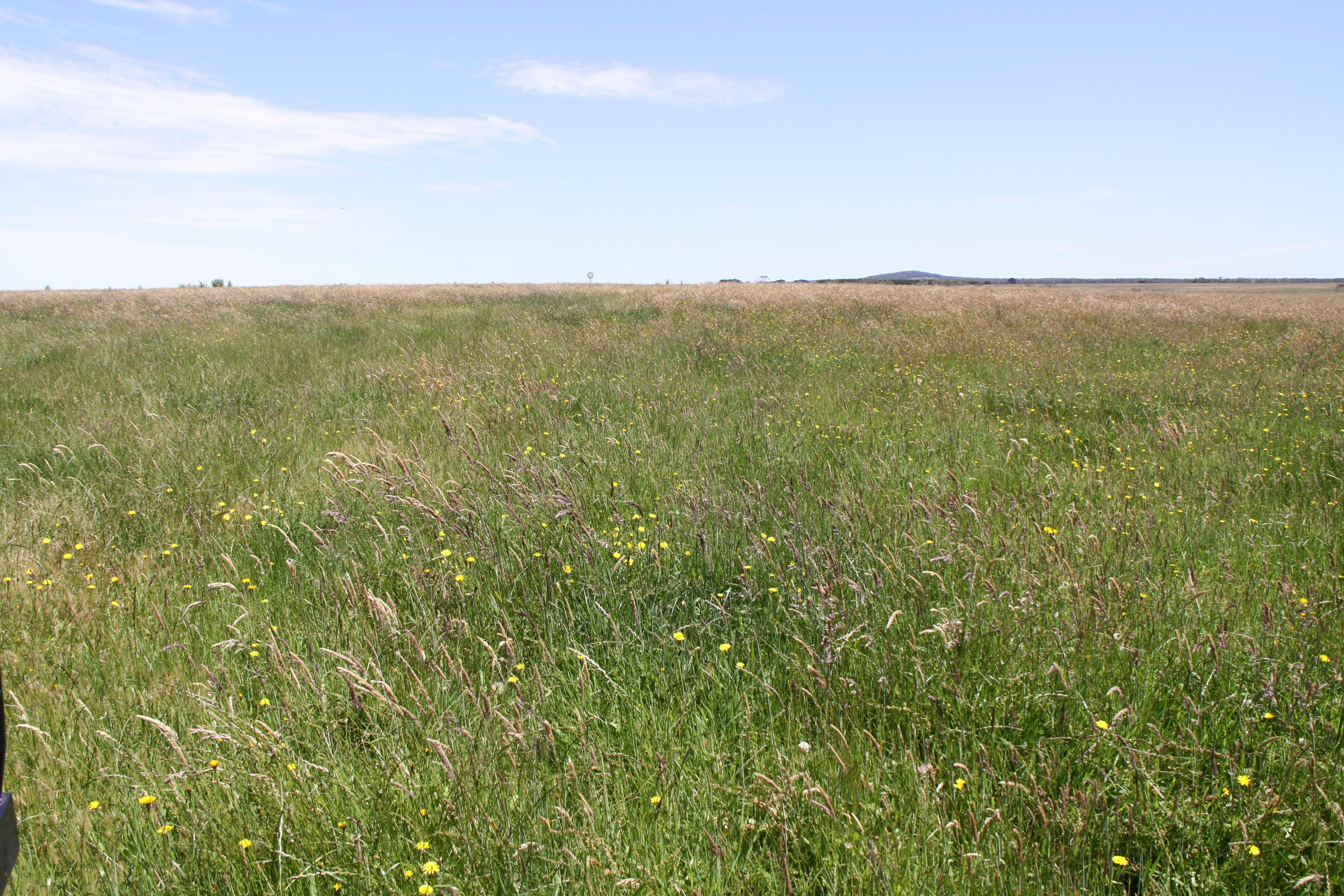 High Rainfall - Grazing - approx. 72.02ha - Image# 11